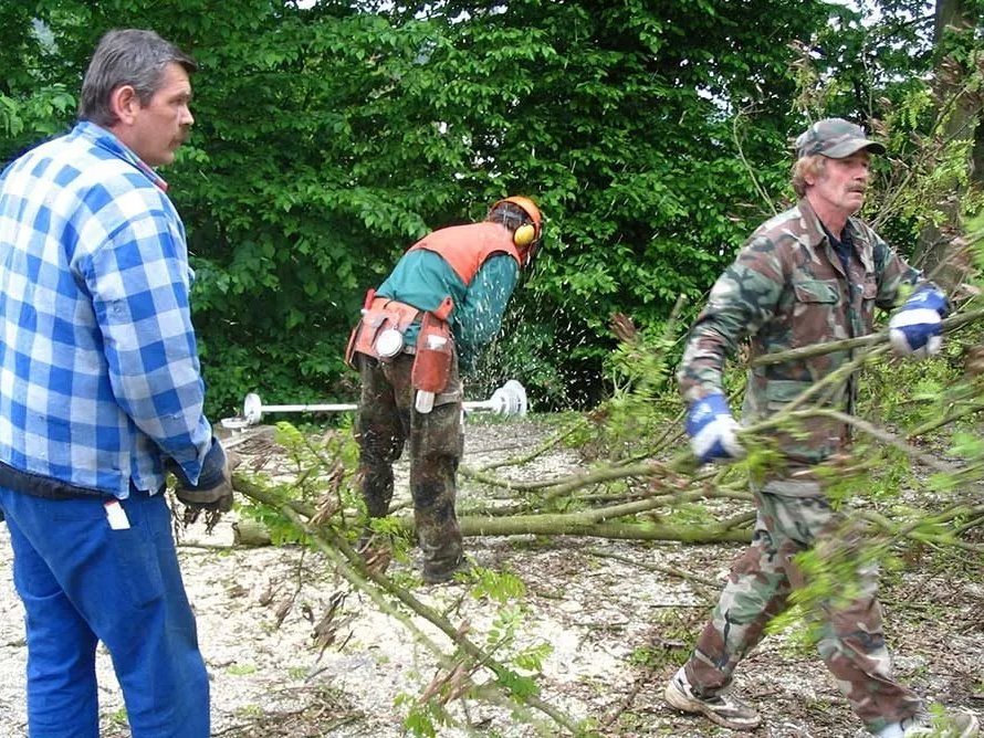 Holzarbeiten: Ein Flachdach wird von Ästen befreit. Drei Männer in Arbeitskleidung tragen Äste beiseite oder schneiden dickere Stämme