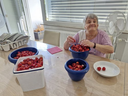 Eine ältere Frau sitzt lächelnd an einem Tisch und bereitet Erdbeeren vor. Vor ihr stehen mehrere blaue Schüsseln und ein weißer Behälter, die mit frischen roten Erdbeeren gefüllt sind.