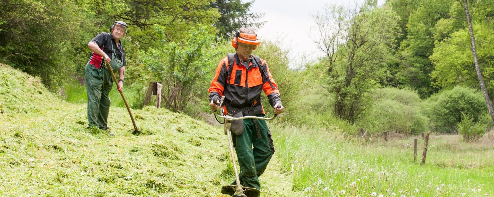 Gartenarbeiten: zwei Männer mit Rechen und Grasfräse arbeiten auf einer Wiese