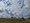 Eine weite Graslandschaft unter einem dramatischen Himmel, der von dichten, texturierten Wolken dominiert wird. Am Horizont steht eine technische Anlage mit einer markanten weißen Kuppel und Antennenmasten. Rechts im Vordergrund steht eine einsame Bank auf dem trockenen Feld.